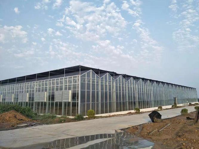 植物工廠的技術(shù)有哪些優(yōu)勢？